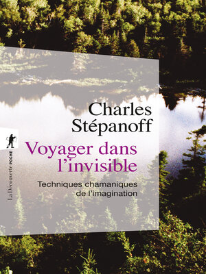 cover image of Voyager dans l'invisible